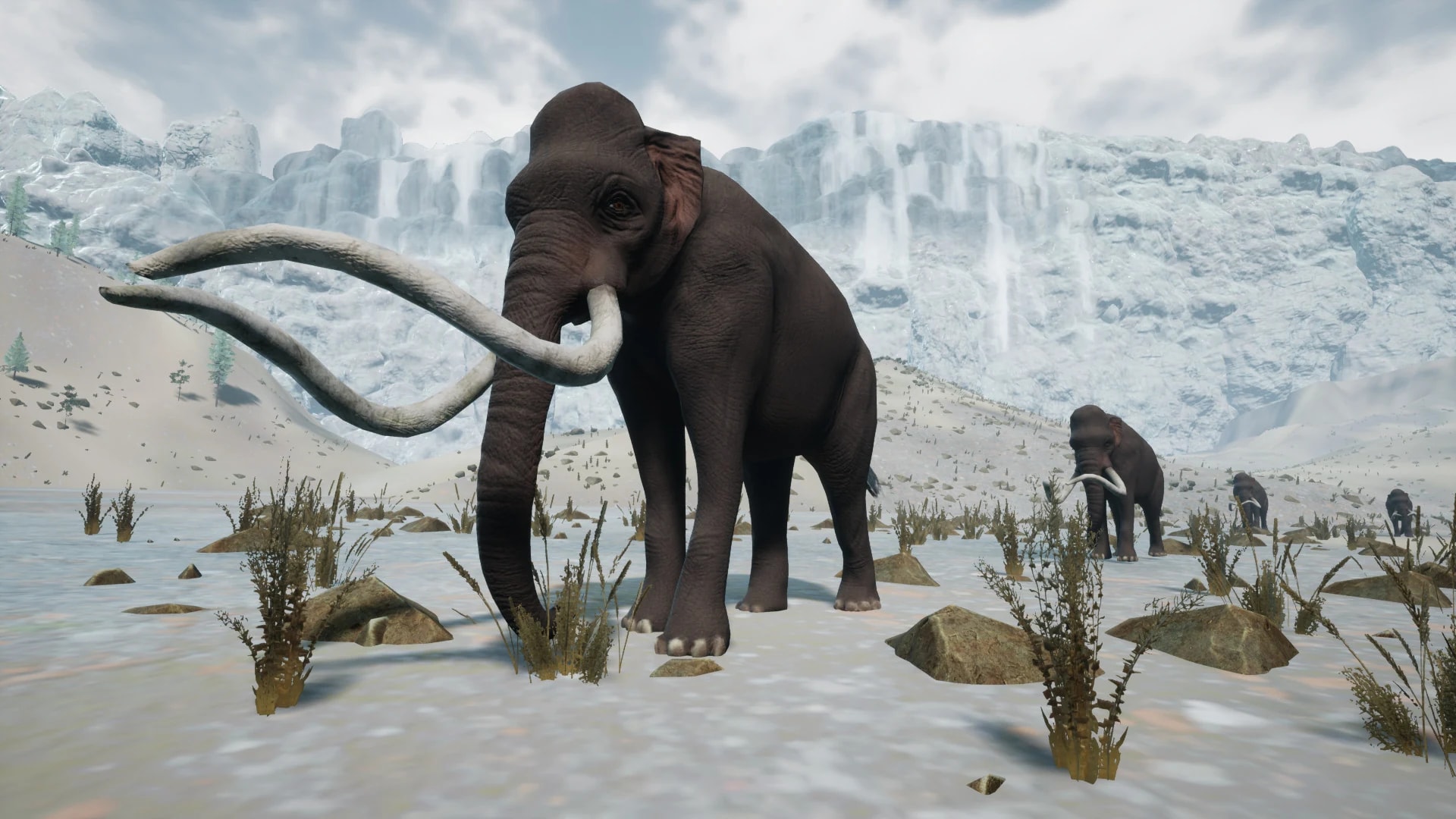 Colombian Mammoth