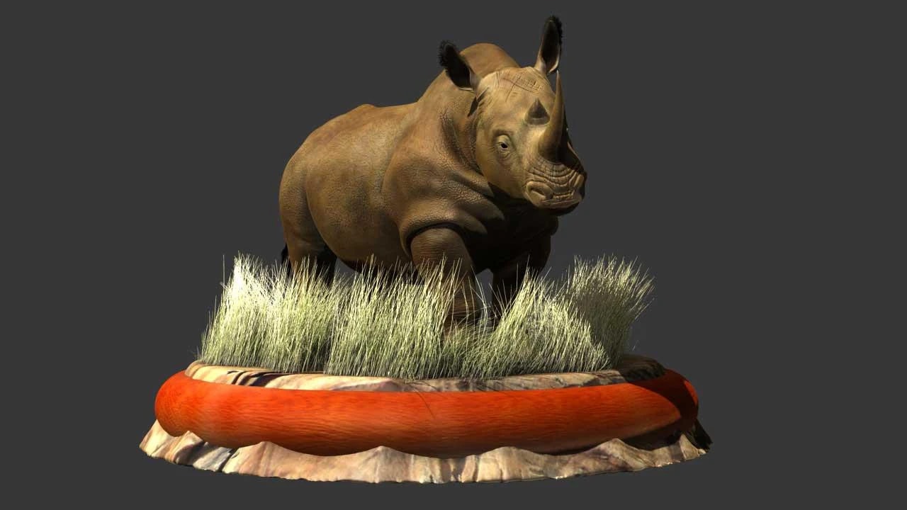 White Rhino