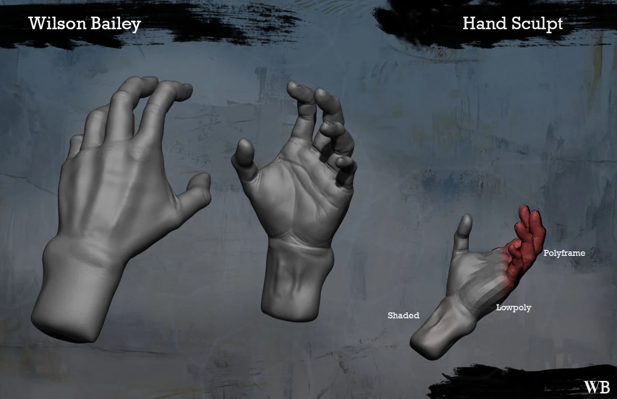 Anatomy