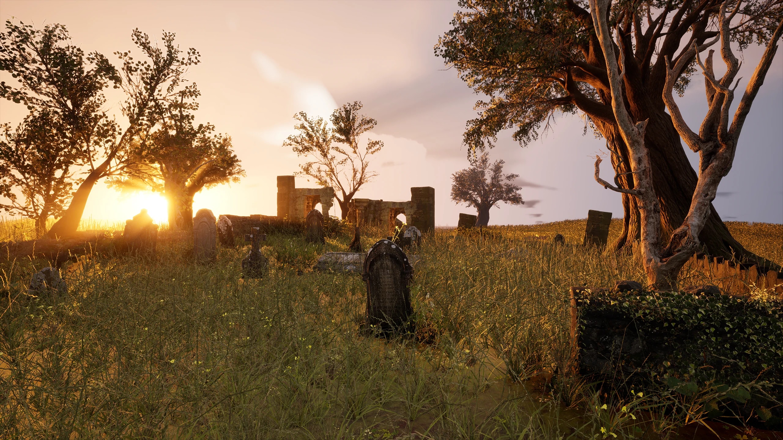 Environments