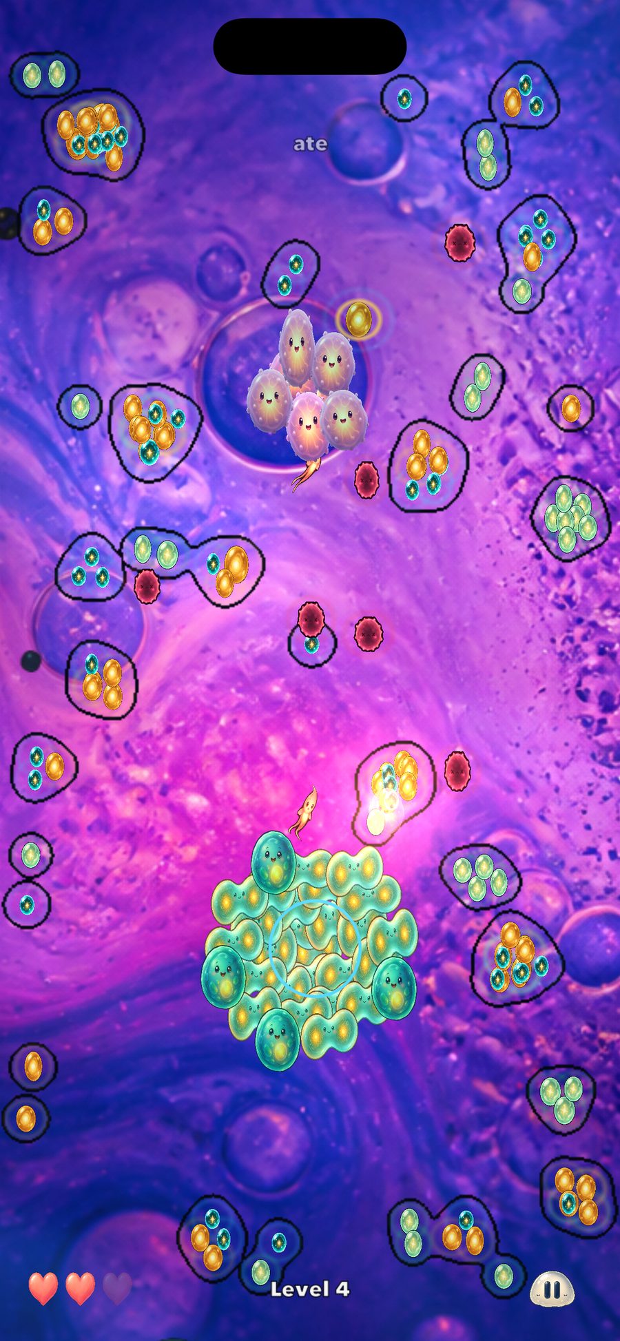 Cyte Match